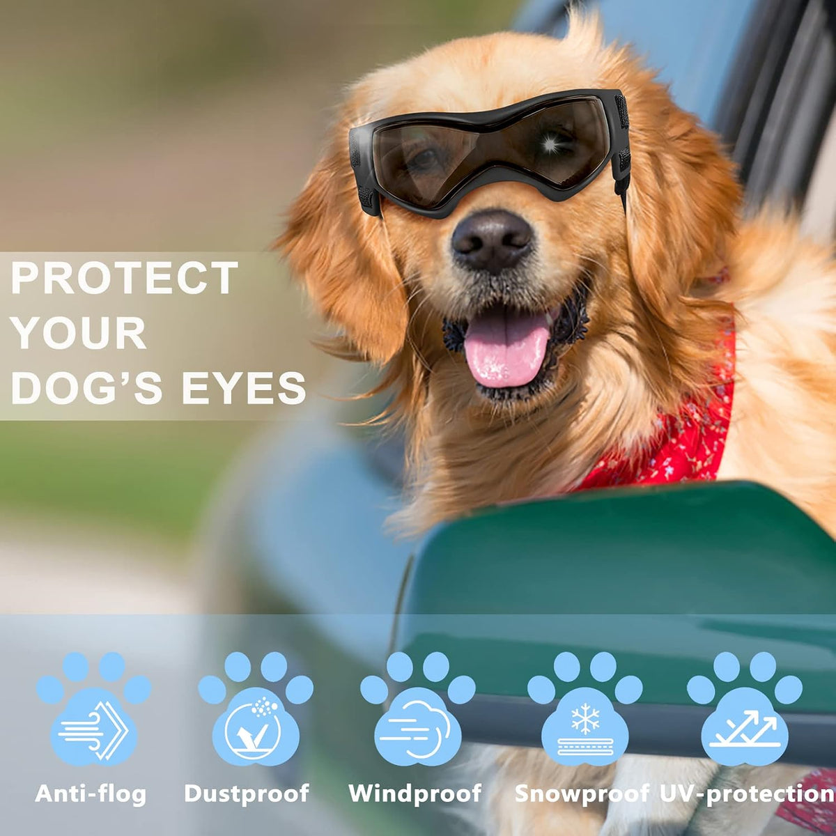 QUMY Dog Goggles Small Medium Breed Dog Sunglasses UV Protection - Pink - image 4