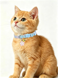 SOLMOONY Cute Cat Collar for Girl Boy - Green Flowers - image 2