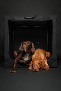 Noah & Paw XXL Collapsible Dog Crate, 42" - Black / 35.5"L x 25.2"W x 23.4"H - image 3