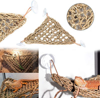 PINVNBY Bearded Dragon Tank Accessories - 【Coconut Shell+Triangle Hammock Decor】 - image 4
