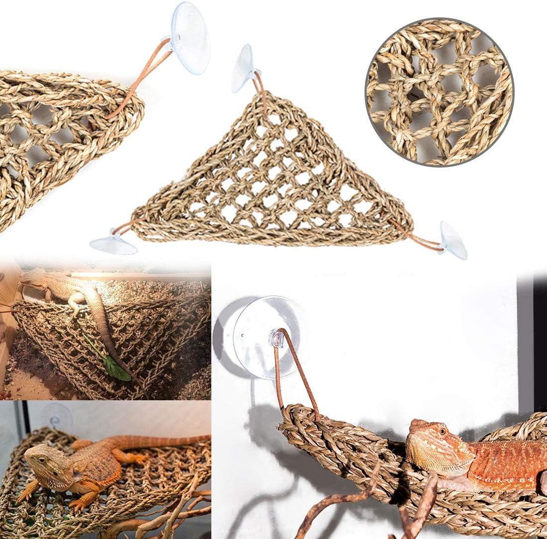 PINVNBY Bearded Dragon Tank Accessories - 【Coconut Shell+Triangle Hammock Decor】 - image 4