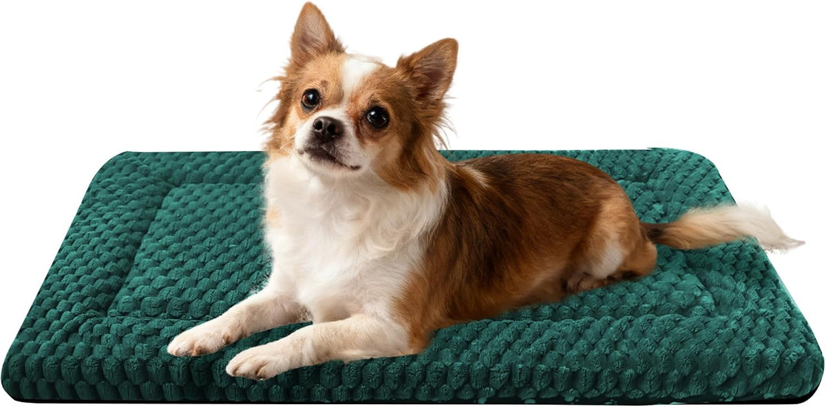 Dog Bed Crate Mat, Soft Durable Washable Anti-Slip Kennel Pad for Dogs & Cats, Reversible) - M(30"*20"*1.5") / Dark Green-1pc