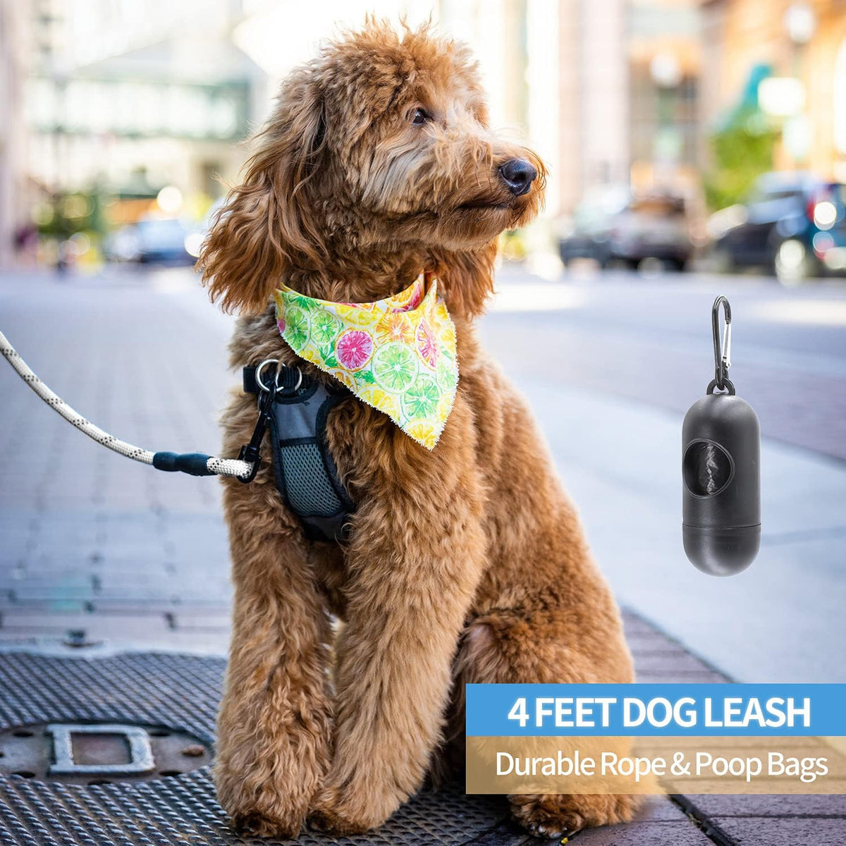 2/4/5/6 FT Dog Leash with Comfortable Padded Handle and Highly - 1/2'' x 4 FT / Silver - image 2