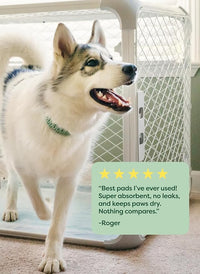 Earth Rated Max Absorbency Puppy Pee Pads for Dogs Absorbs 2X Faster & 2X More, Leak-Proof Odor-Free Potty Training Wee Wee Pad, Unscented, XL, 28” x 34”, 40 Count