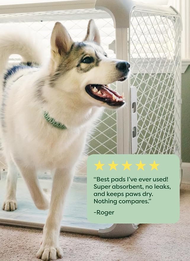 Earth Rated Max Absorbency Puppy Pee Pads for Dogs Absorbs 2X Faster & 2X More, Leak-Proof Odor-Free Potty Training Wee Wee Pad, Unscented, XL, 28” x 34”, 40 Count