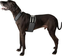 CoolerDog Dog Cooling Vest & Cooling Collar - XL