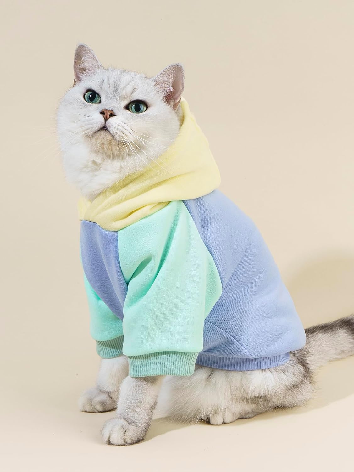 Basic Dog Hoodie Sweatshirt Puppy Sweater Warm Cat Costumes Pet - X-Large / Yellow and Blue - image 3