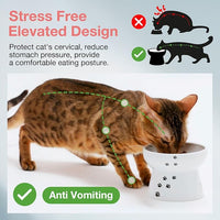 Necoichi Raised Stress Free Cat Food Bowl, Elevated, Backflow Prevention, Dishwasher and Microwave Safe, No.1 Seller in Japan! (Cat, Regular)