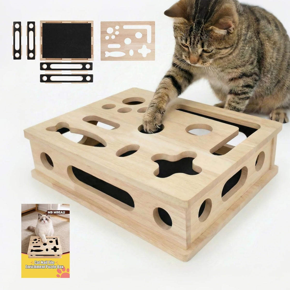 Cat Scratch Puzzle Enrichment Box