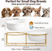 Small Glass Tilted Elevated Cat Dog Bowl Raised Cat Food Water Bowl - Small / White×2-Flat - image 2