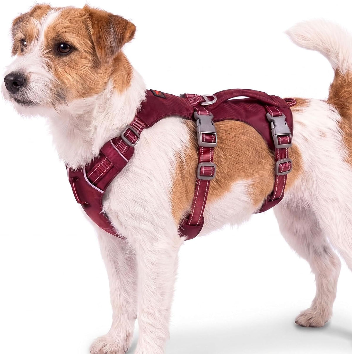 Tuff Pupper Escape Proof Dog Harness for Small Dogs - XX-Small / Crimson Red