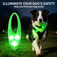 LaRoo Dog Lights, Led Collar Lights for Nighttime Walking - Green-A - image 2