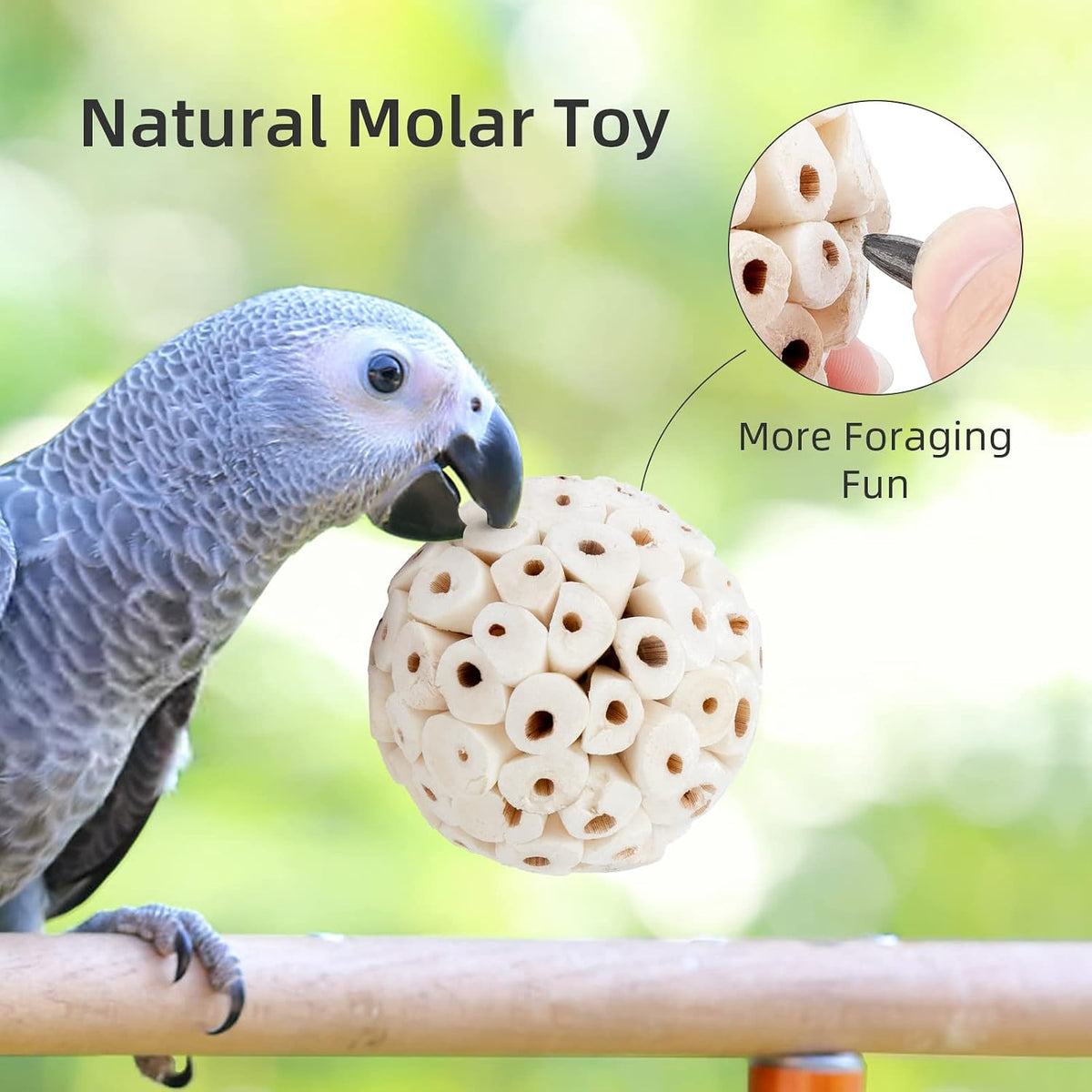 andwe Bird Toy Sola Ball Chew Shredding Toy - Style 1 (Pack of 6) - image 4