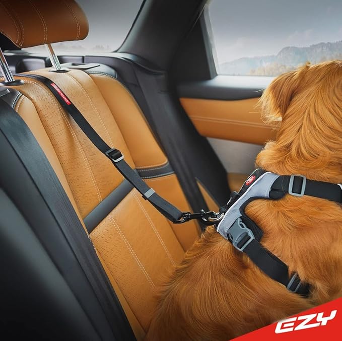 EzyDog Click ISOFIX Cargo - Dog Seat Belt Car Harness Attachment for Dogs - Adjustable Dog Restraints Seatbelts for Car Travel and Safety - (24in - 40in, Black)