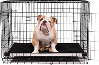 K9 Ballistics Chew Proof Armored Padded Dog Crate Bed, Virtually Indestructible, Legs Included (Blue, XX-Large (50" L x 33" W x 8" H))