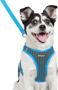 Eagloo Small Dog Harness and Leash Set - L(Chest:18.2"-20.5") / Blue