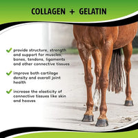 SynoStride All Natural, All-in-one, Joint and Hoof Health Supplement for Horses, Powder with Glucosamine, Chondroitin, Hyaluronic Acid, Biotin, Methionine, Trace Minerals (1080 Grams) x2