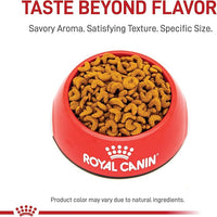 Royal Canin American Shorthair Breed Adult Dry Cat Food, 5.5 lb.