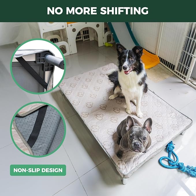 FXW TitanNest Chew-Proof Elevated Dog Bed, Raised Cot for Indoor/Outdoor/Camping Use, Durable & Washable Padded Pet Bed with Exclusive Reuseable Cover for Small Dogs, 36.0" L x 24.0" W x 4.5" H, Gray