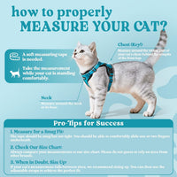 rabbitgoo Cat Harness and Leash Set, Escape Proof Vest - M / Teal - image 2