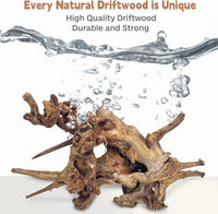PINVNBY Natural Driftwood for Aquarium Decor Fish Tank Decorations - XL:Mopani Driftwood (11 - 18 inches/1 Pack) - image 2