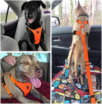 Lukovee Dog Seat Belt - Adjustable Dog Car Harness for Large, Medium & Small Dogs, Soft Padded & Breathable Mesh Dog Seatbelt with Vehicle Connector Strap (Orange, X-Small)