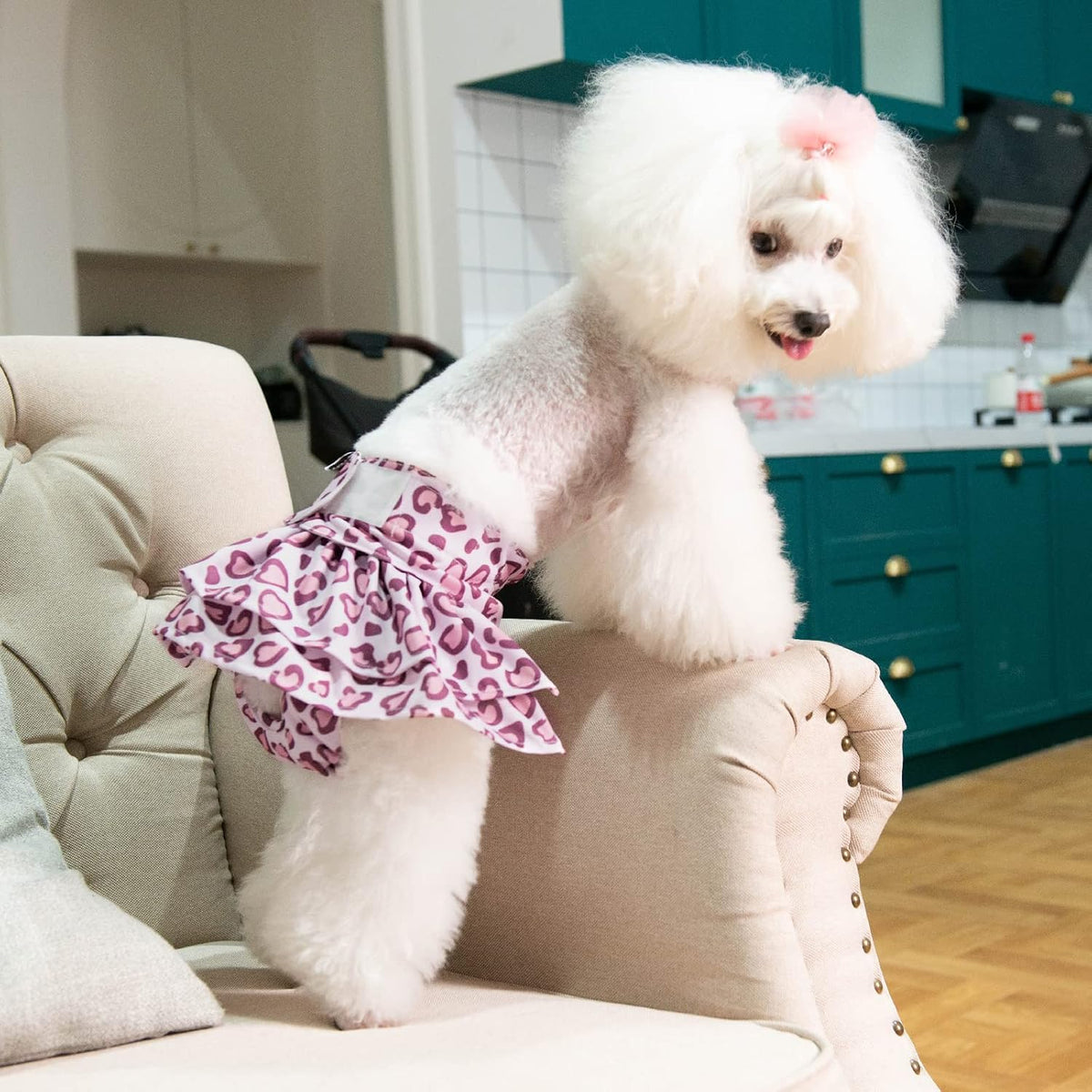 CuteBone Female Dog Diapers with Skirts 3 Pack Reusable Puppy Dresses - Leopard print 3pcs skirts / S - image 4