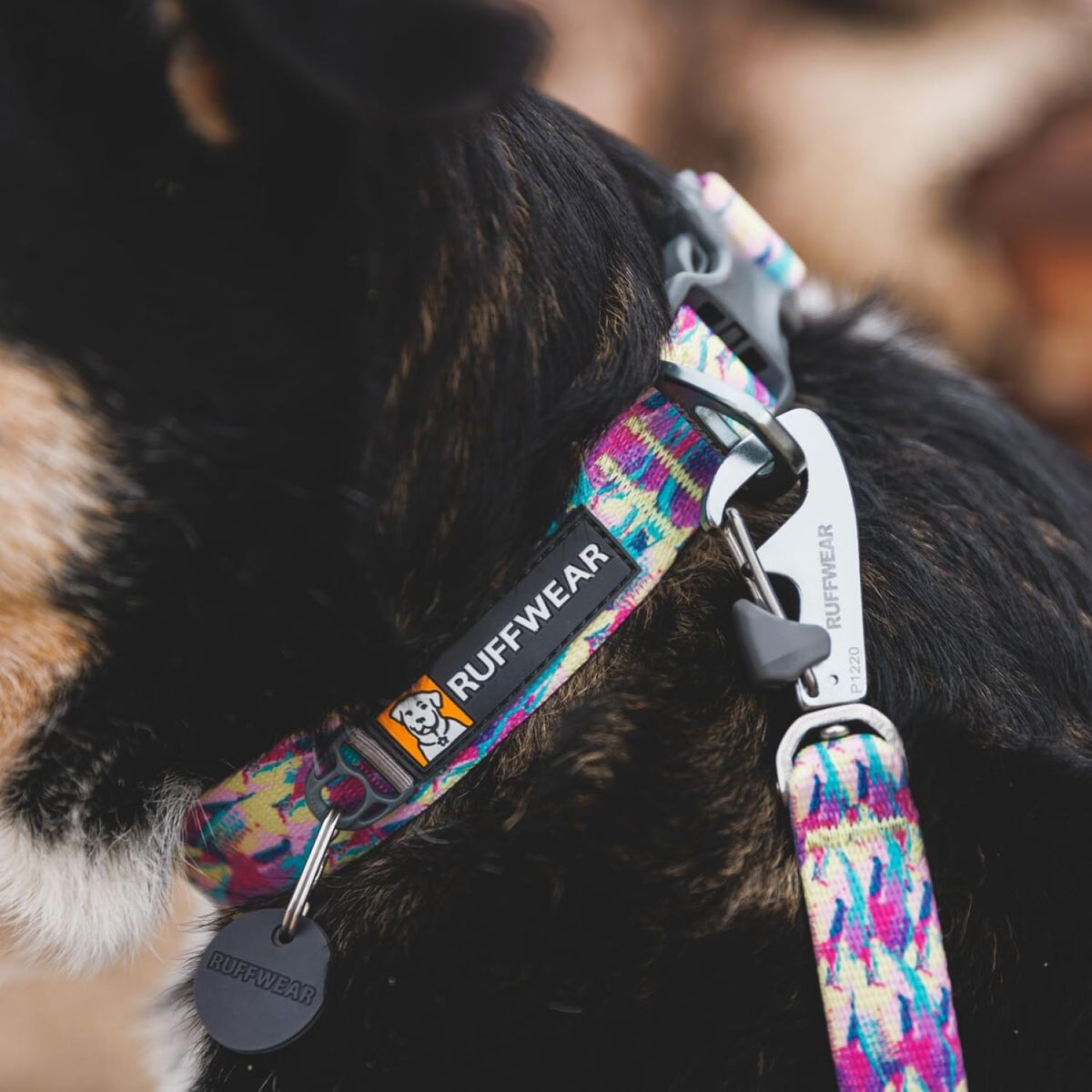 Ruffwear, Front Range Dog Collar - River Rock Green / 20"-26" - image 4