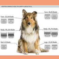 10# Dog Grooming Ceramic Blades, Compatible with Andis, Oster A5 - 3pc 40:1/100''(0.25mm) / Silver - image 4