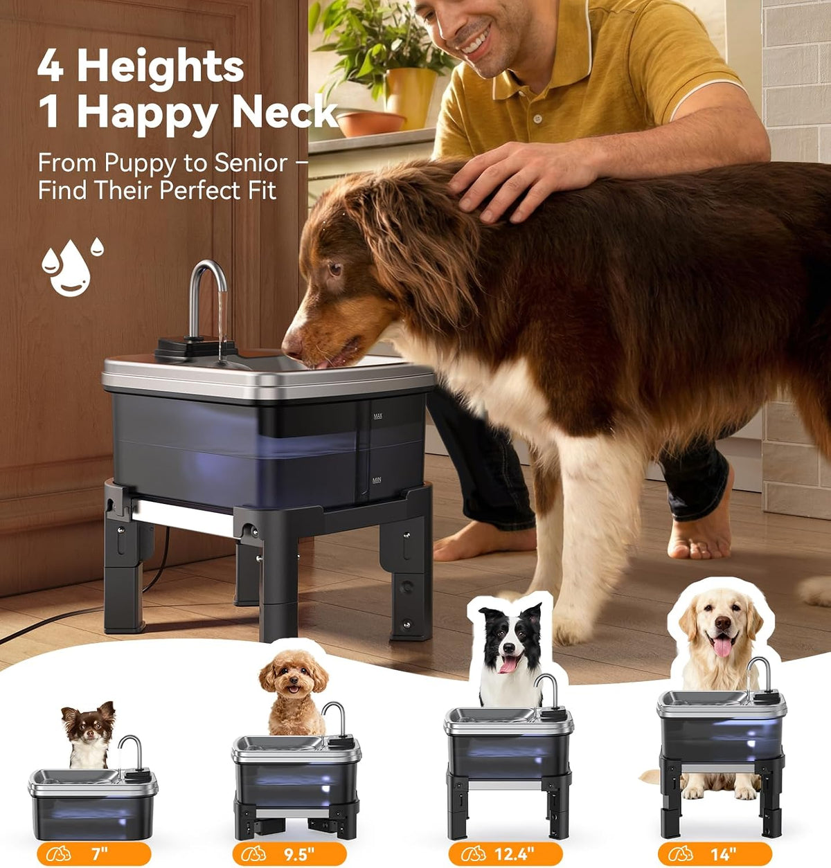 9L/2.38Gal Dog Water Fountain Elevated with 4-Height Adjustable Stand - Water Fountain + 3 Filters + 3 Sponges - image 2