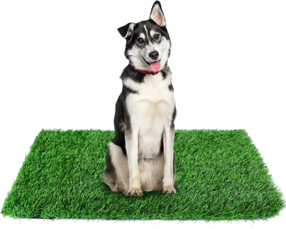 GLOBREEN 34" x 23" Fake Grass Pee Pad for Dogs Potty Training Turf - Green-01 / 23x34 Inch