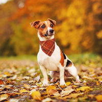 Dog Bandanas 1PC Washable Cotton Triangle Dog Scarfs for Small Medium - Small / Orange Brown Grid - image 3