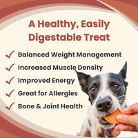 Farm To Pet - Dog Training Treats - Chicken Chips, Single Ingredient - 4 oz, Lean, All Natural, Healthy Dog Treats for Small, Medium, Large Breeds, & Puppies, Made in USA