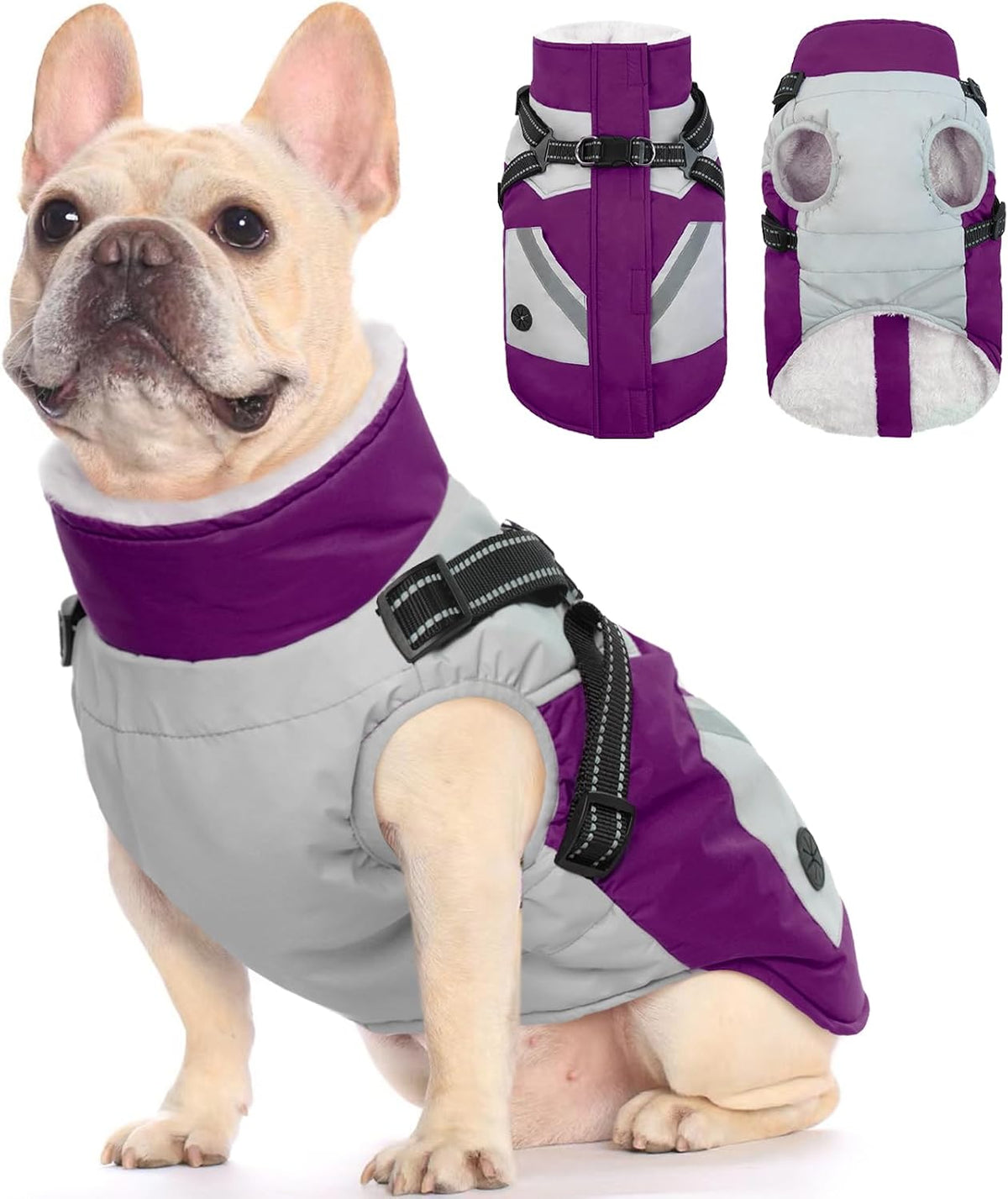 FUAMEY Dog Winter Jackets for Small Dogs - Medium(chest:21in) / Purple