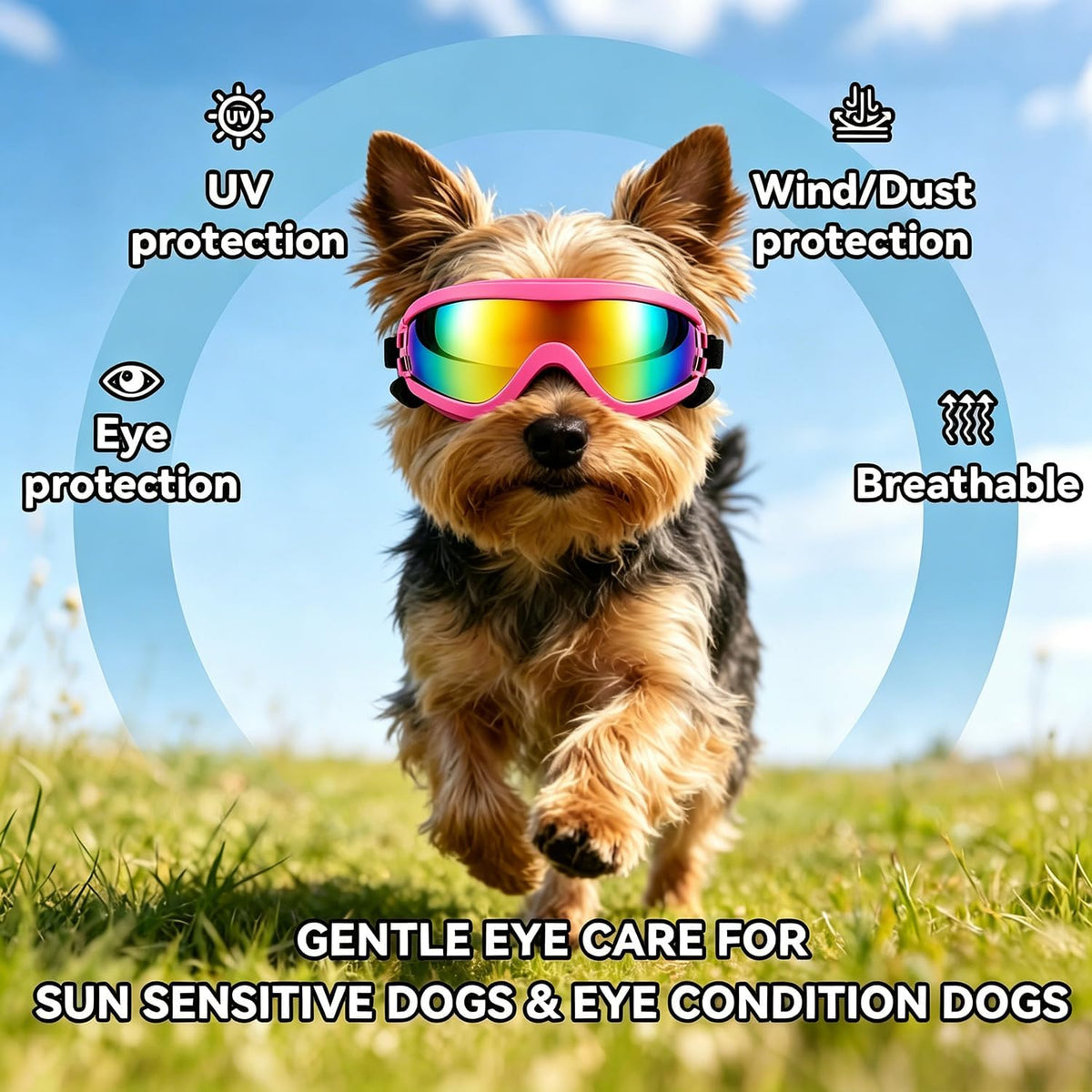 Dog Goggles for Small Breeds - Small / Pink - image 4