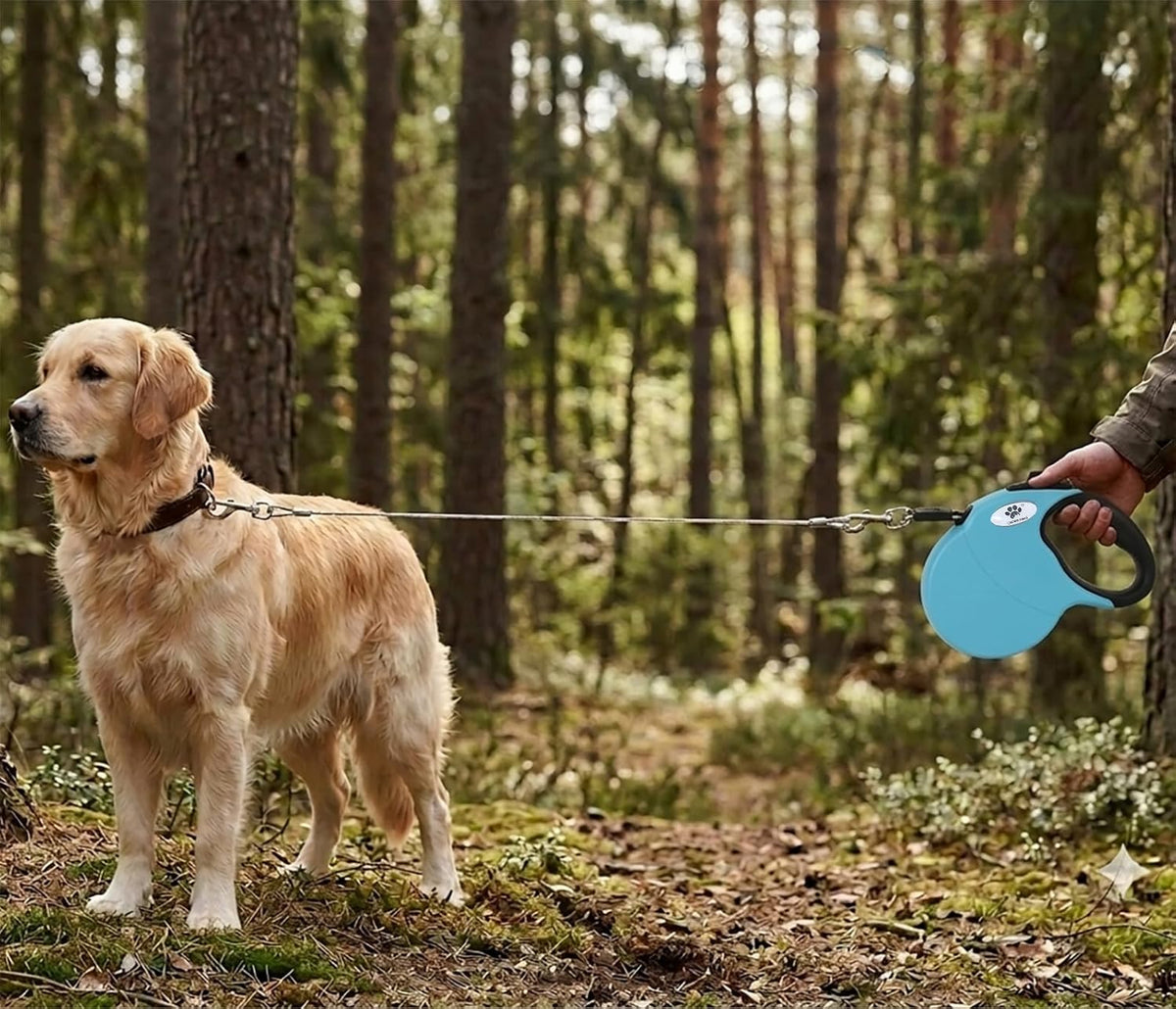 16ft Retractable Dog Leash for Large Breed Dogs up to 110 lbs - Large / Blue - image 4