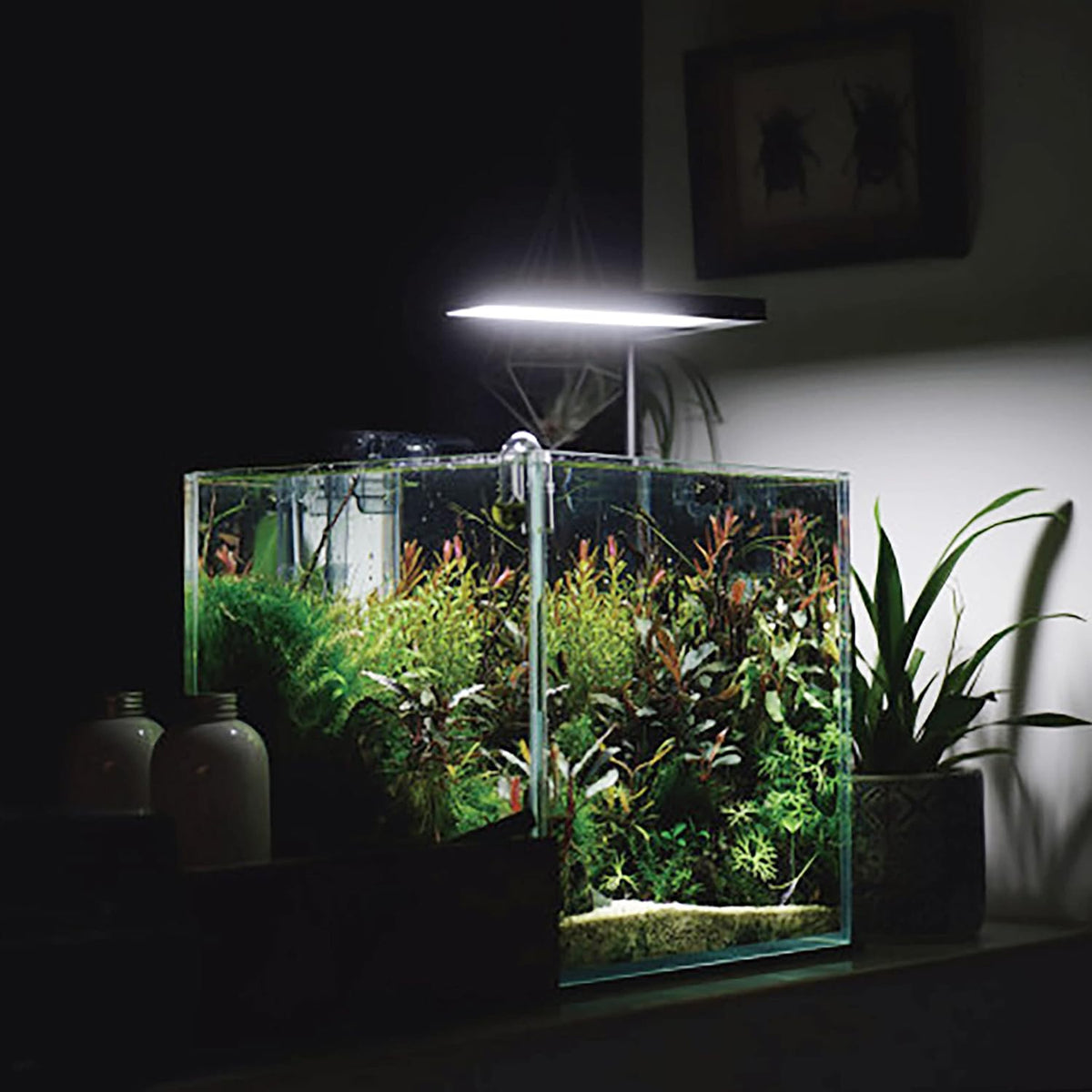 Low Iron Glass Ultra Clear Rimless Aquarium Tank - 7Gal 11.8"L×11.8"W×11.8"H - image 4