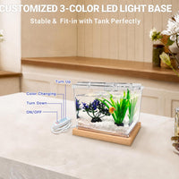 MoonOrange Mini Betta Fish Tank Kit with LED Light Base - Mini Tank Kit 02 - image 3