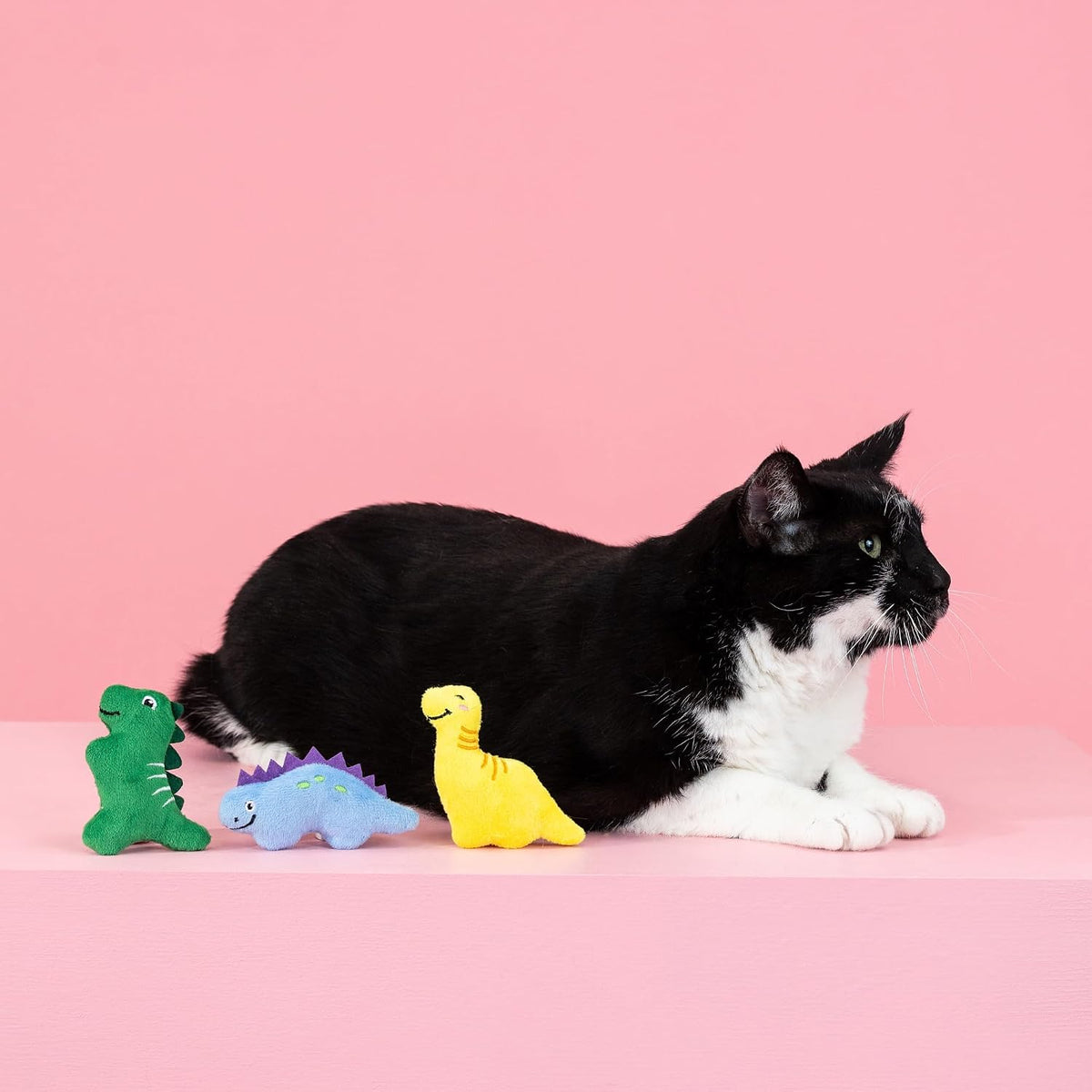 Fringe Studio, Off THE Scales Durable Cotton Canvas Cat Toy - Rawr-Some Crew - image 2