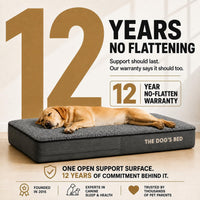 The Dog’s Bed Orthopedic Memory Foam Dog Bed - Grey Plush / Large Beds (6" deep) - image 4