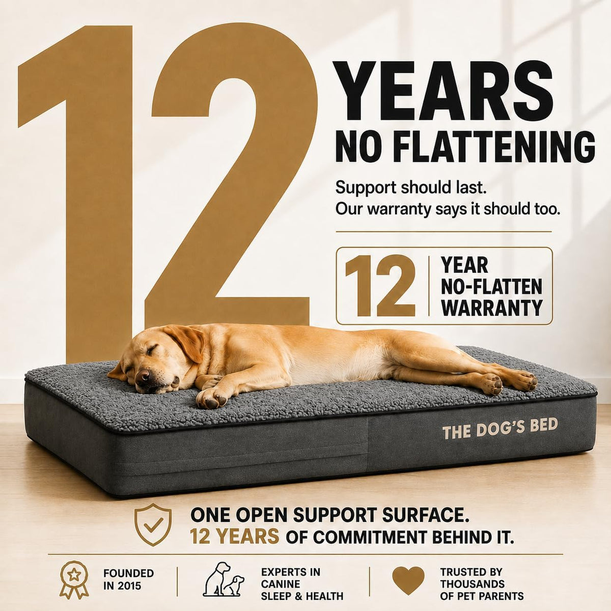 The Dog’s Bed Orthopedic Memory Foam Dog Bed - Grey Plush / Large Beds (6" deep) - image 4