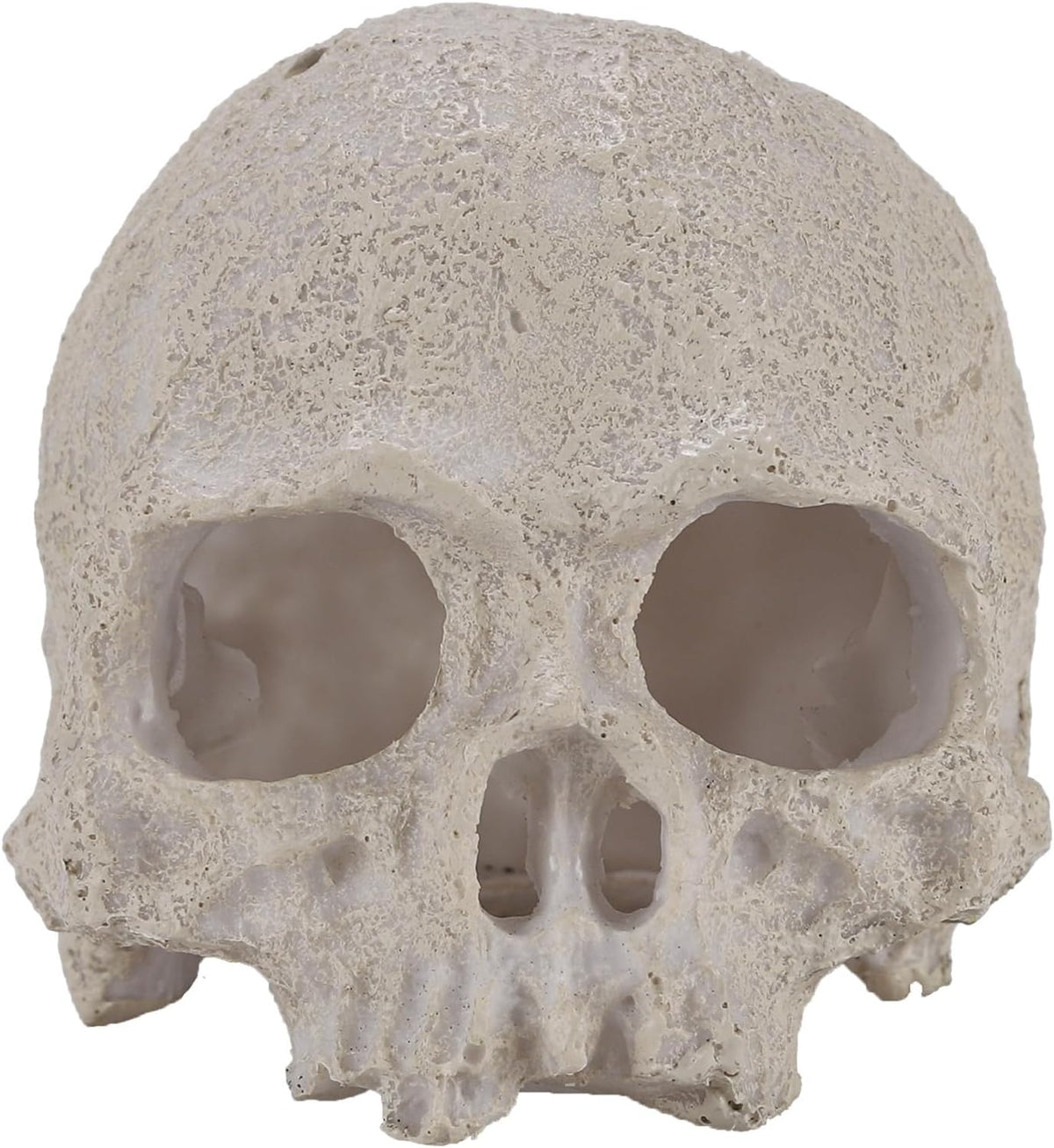 Resin Reptile Hideout for Tank Realistic Skull Decor for Terrarium - White