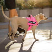 voopet Service Dog Harness, Emotional Support Pet Vest Harness - Medium (Pack of 1) / Hot Pink - image 3