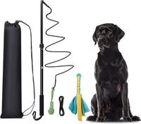 Flirt Pole Dogs, Dog Chase Toy with Squeakers Inside - Rope+Ball
