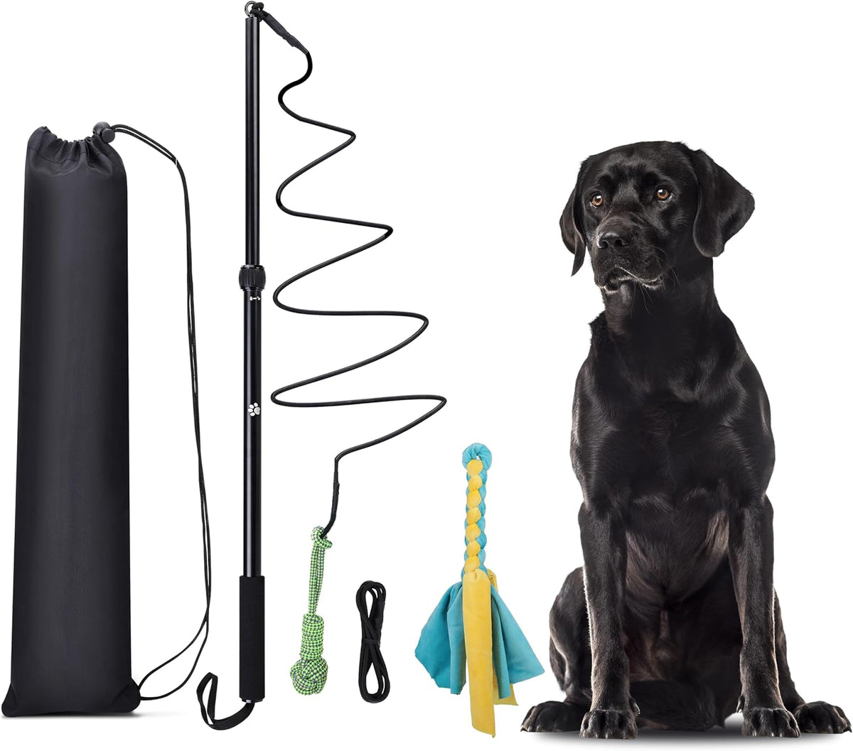 Flirt Pole Dogs, Dog Chase Toy with Squeakers Inside - Rope+Ball