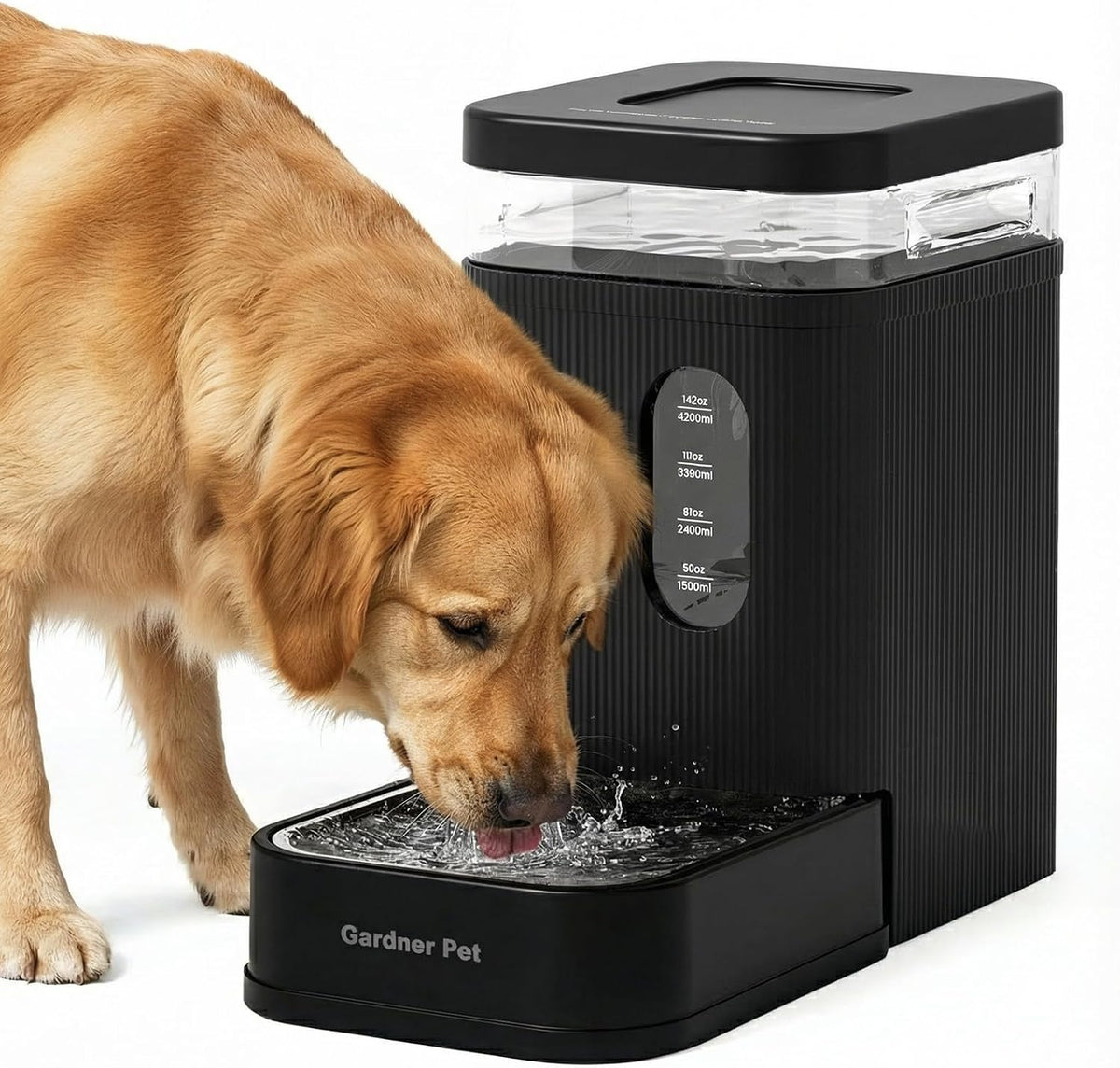 2.2 Gallon Automatic Dog Water Dispenser with Stainless Steel Bowl – Essentials for Dogs - Black / 1.7 Gallon