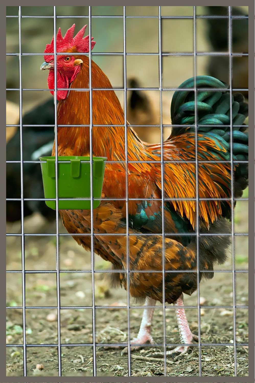 Cage Cups Birds Feeders Seed Bowl Chicken Feeding Watering Dish - 40PCS Green - image 2