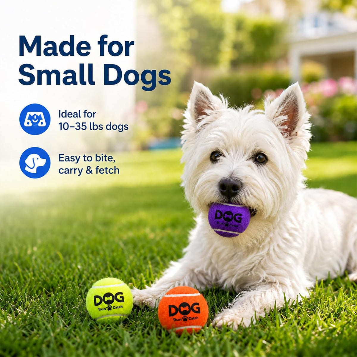 INSUM Tennis Balls for Dogs - Small / Interactive (Squeaker) - image 2