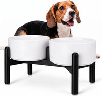 Raised Ceramic Dog Bowl Set with Stand - White / 2 Bowls - 3.5 Cups Each
