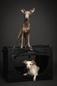 Noah & Paw XXL Collapsible Dog Crate, 42" - Black / 24.0"L x 17.0"W x 17.0"H - image 3